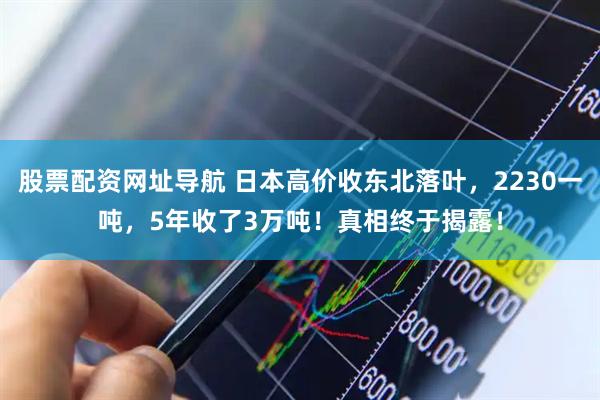股票配资网址导航 日本高价收东北落叶，2230一吨，5年收了3万吨！真相终于揭露！