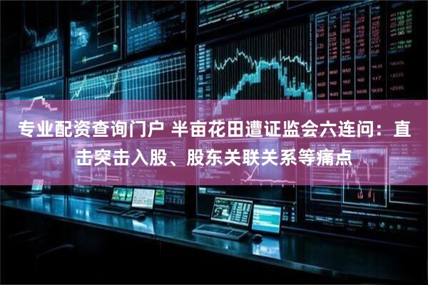专业配资查询门户 半亩花田遭证监会六连问:直击突击入股、股东关联关系等痛点