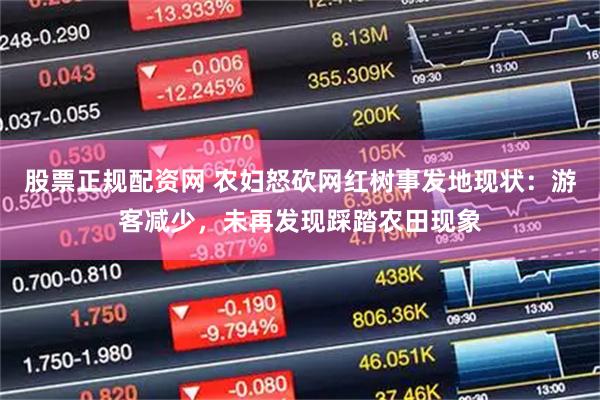 股票正规配资网 农妇怒砍网红树事发地现状：游客减少，未再发现踩踏农田现象