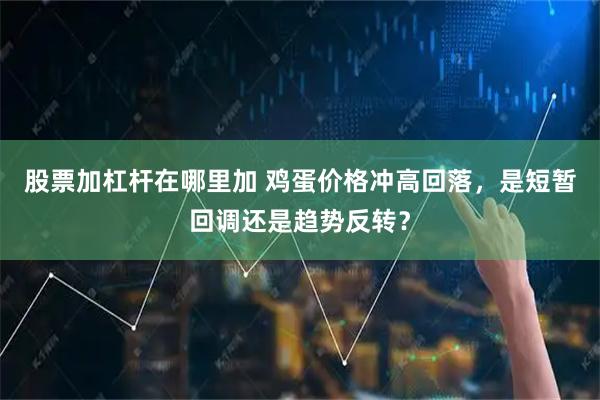 股票加杠杆在哪里加 鸡蛋价格冲高回落，是短暂回调还是趋势反转？